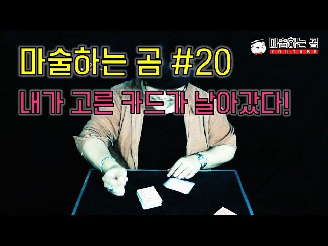 [제주도 마술하는곰] 고무줄로 묶인 카드 덱에서 내가 고른 카드가 튀어나온다?! 너무나 놀라운 고무줄 마술!!