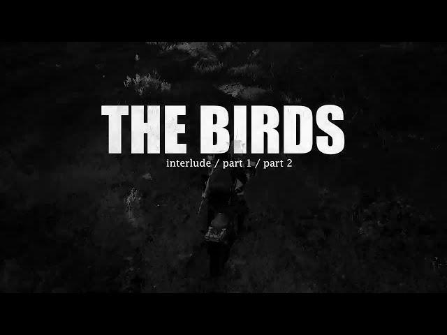 The Birds (The Weeknd) - All Parts Combined (Interlude, Pt1, Pt2 Extended)