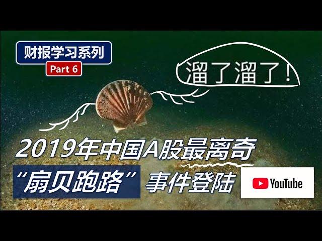 财报学习6: 什么是资产减值?（资产负债表结构讲解/Balance Sheet Outline 1/3）