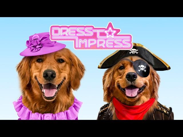 My Dogs Play DRESS TO IMPRESS!