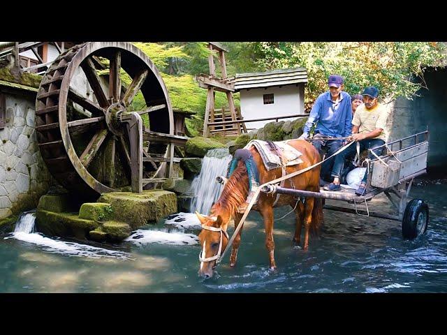 AZERBAIJAN Rural Life - Grandma and Grandpa's WONDERFUL Delicious Day