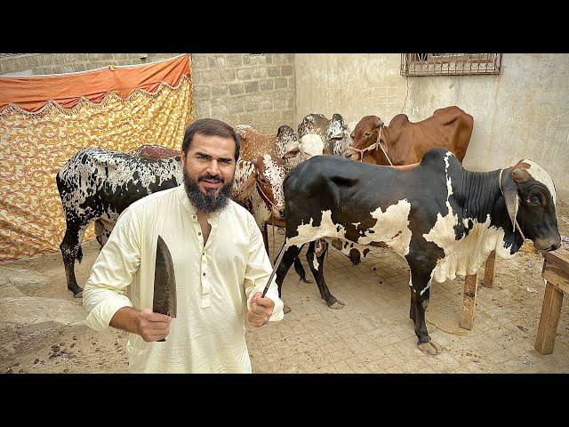 Bakra eid first day vlog 