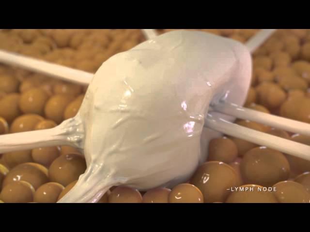 Influenza and The Flu Shot