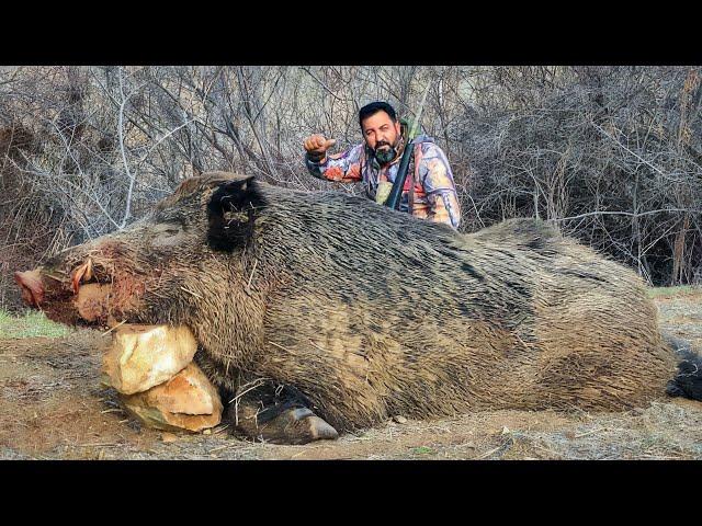 THE BEAST: EPIC HUGE STRONG BOAR HUNTS, BREATHTAKING ACTION SCENES #hunting #hog