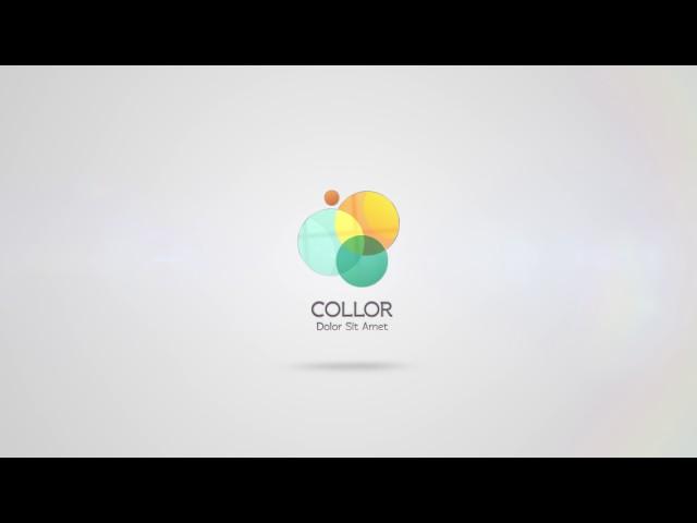 Clean & Professional Logo Animation 42