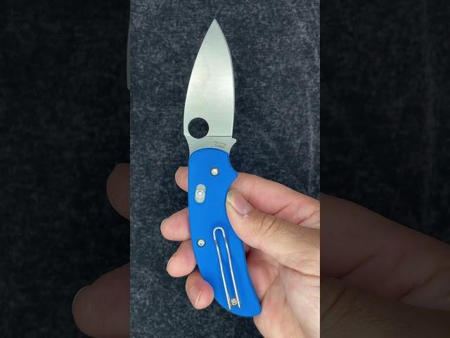 Spyderco Sage 3 Bolt Action