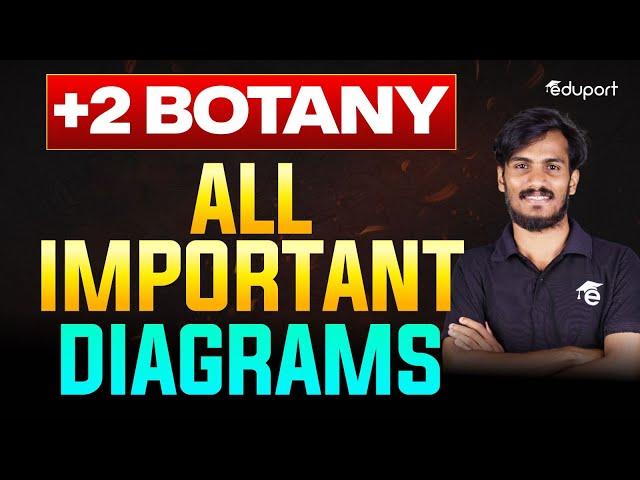 Plus Two Biology | Botany All Diagrams | Public Exam 2025 | Eduport Plus Two