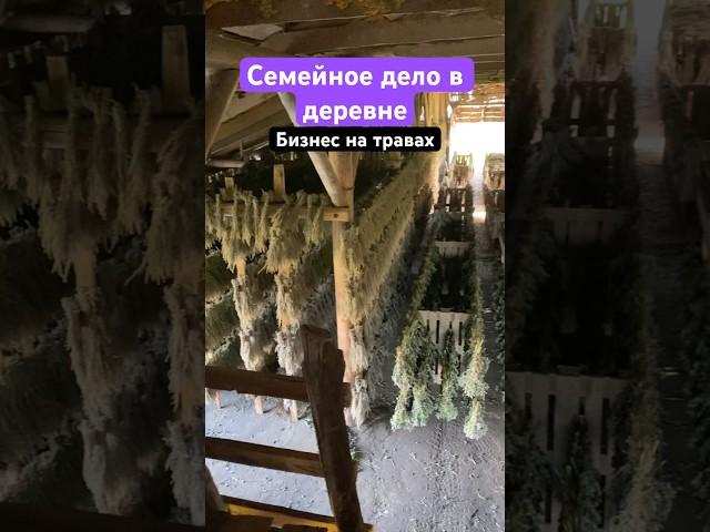Травы башкирии и семейное дело в деревне #villagelife#деревня#травы