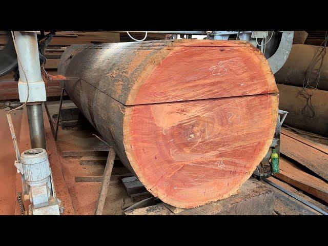 Amazing Woodworking Factory | Operating Extra Large Saws, Cheesy Wood Giant 200 Year Old