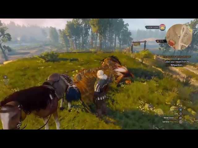 The Witcher 3 First Griffin Kill on PS4