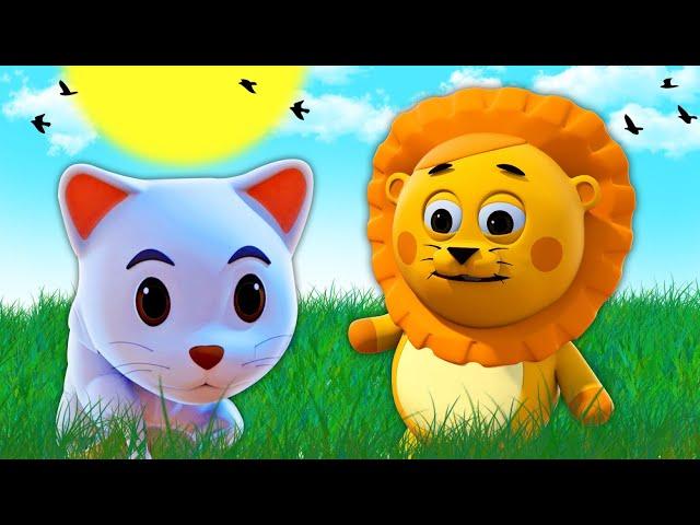 Kitty Katze Kitty Katze | 3D-Kinderreime und Babylieder | @HooplaKidzDeutsch