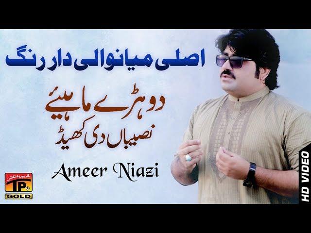 Sari Naseeban Diyan Khel - Ameer Niazi - Latest Song 2018 - Latest Punjabi And Saraiki