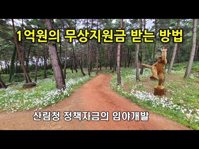 정부 무상지원금으로 산을 가꾸는 방법 3가지