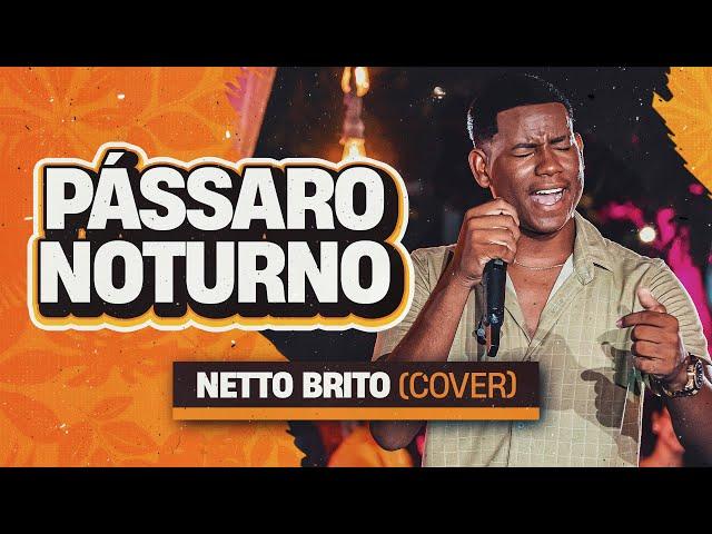 Pássaro Noturno - Netto Brito | Pra Encher e Derramar 2.0 - OFICIAL