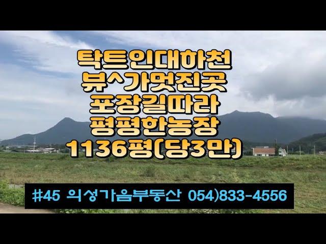 #45 의성가음부동산 5m도로접 하천옆 자두밭 창고포함 1136평 3400만 (당3만) 공용지하수사용 물시설완비 큰차진입 전기인입 하천땅 지상권매매 소액으로 큰농장을~ #의성자두밭