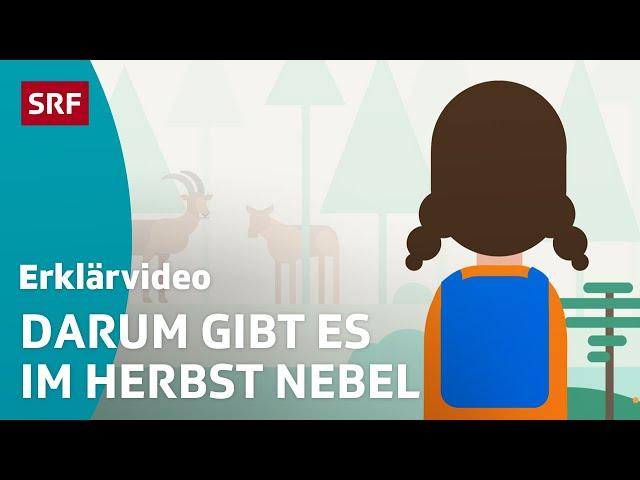 So entsteht Nebel – einfach erklärt | Kindervideos | SRF Kids