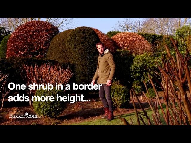 Gardening - How to create a framework