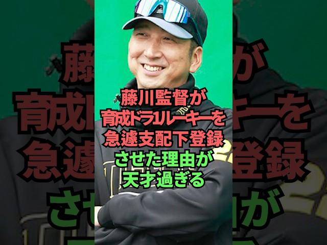 藤川監督が育成ドラ1ルーキーを急遽支配下登録させた理由が天才過ぎる