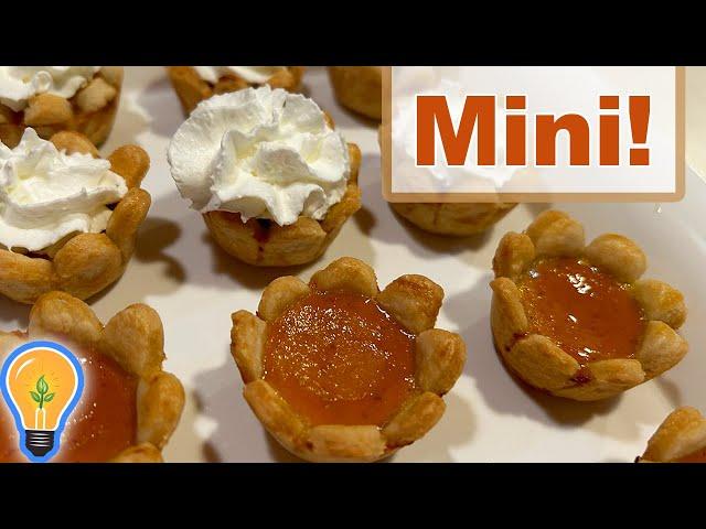 Mini Pumpkin Pie Bites Recipe - Delicious!