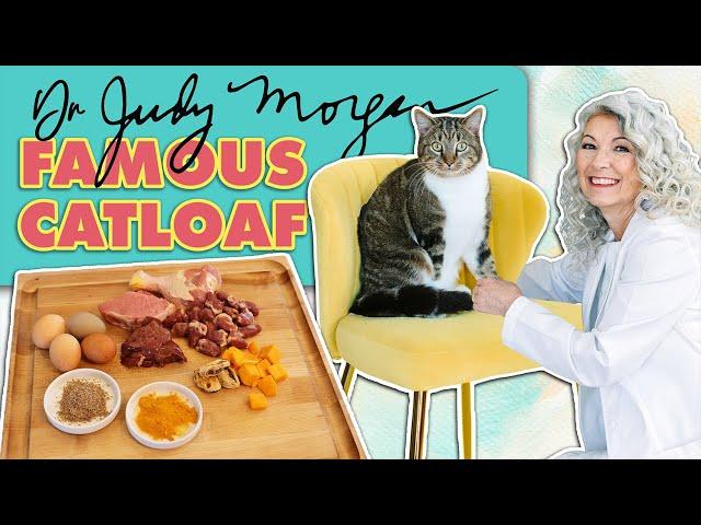 Making Catloaf with Dr. Judy Morgan