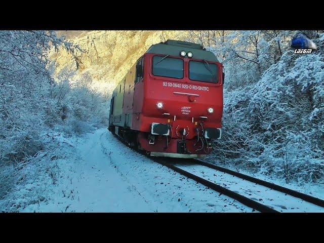 Trenurile Iernii în Zăpadă/Winter Trains in Snow in Defileul Crisului Repede Canyon 08 January 2020