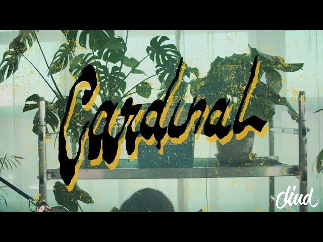 CARDINAL "Never Asked For An Apology (Never Got One Either)" | Diud, where's my tune? Live Session