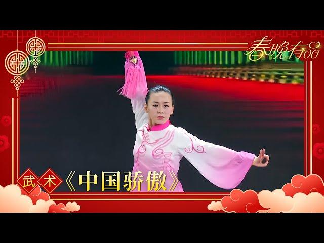 武术Top5 《中国骄傲》国家武术队【2017年央视春晚】｜订阅CCTV春晚