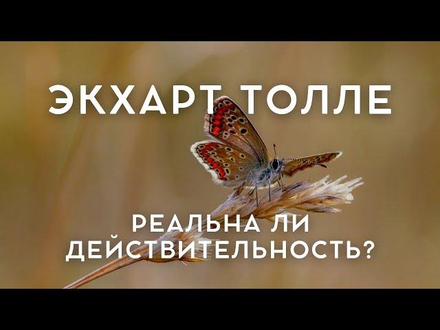 Экхарт Толле - ПРЕОДОЛЕНИЕ МИРА [Лекции 07] Nikosho