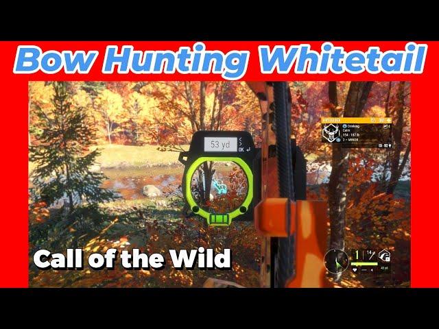 Bow Hunting White-tail from a tree stand in New England Mountains! The Hunter: Call of the Wild