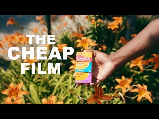 These CHEAP Film Stocks are Surprisingly AMAZING