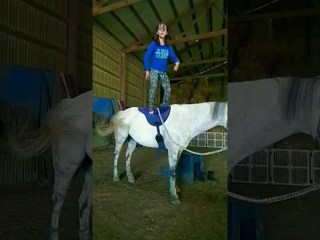 @Triplecharm please comment tough boy dance oh horseback #horse #katerina #horseriding