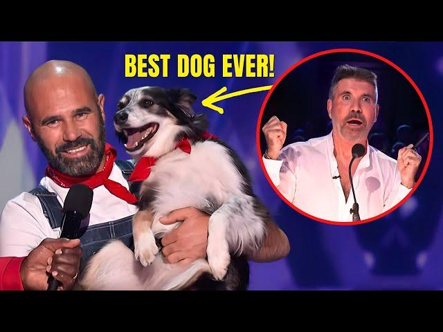 Hurricane The Dog: THE BEST DOG ACT IN AGT HISTORY!