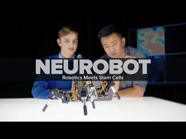 Neurobot: Robotics Meets Stem Cells