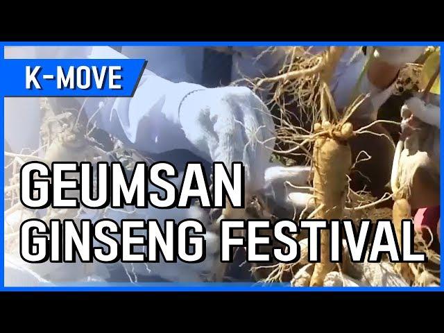 [K-MOVE] Geumsan Ginseng Festival / YTN KOREAN