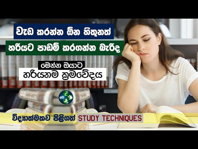 අරමුණක් තිබුනට වැඩ කරන්න හිතෙන්නැද්ද - මෙන්න සුපිරි Study Tips - Sinhala Study Techniques By Bio Api