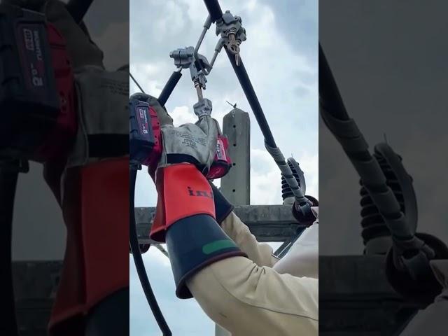 Courageous Worker
