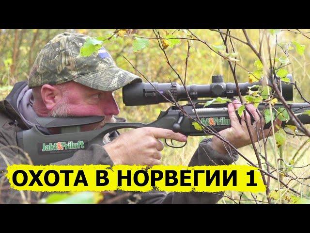 Охота в Норвегии (без цензуры) 1/ NORDIC WILD HUNTER (Охотник и рыболов)