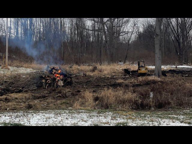 Finally Finishing The First Section Of Tree Clearing At The Barn Lot