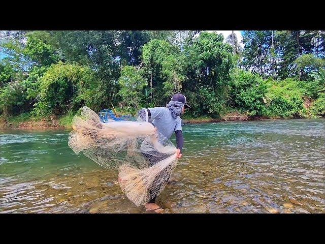 THE FISHING NET WAS RIGHT IN THE FISH'S NEST, THE RESULT WAS SHOCKING.‼️ Amazing fishing nets