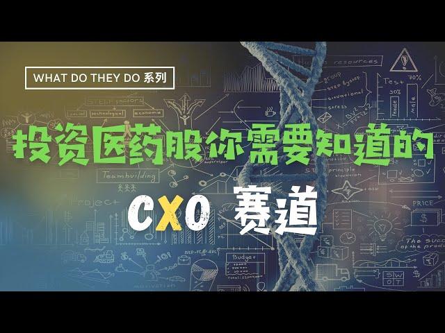 What do they do 系列║投资医药股你需要知道的CXO赛道！