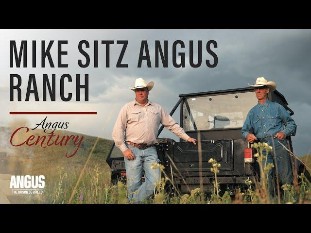 Mike Sitz Angus Ranch | Angus Century (2023)