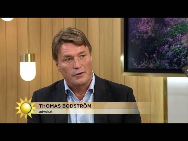 Thomas Bodström: ”Det vettigaste Erik sagt på flera år” - Nyhetsmorgon (TV4)