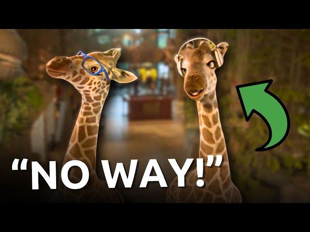 Giraffes Tour the Creation Museum! | Animation