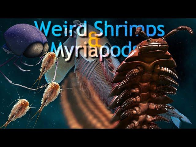 Weird "shrimps" and Myriapods