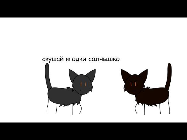 Коты-воители ~ Первый цикл в двух словах