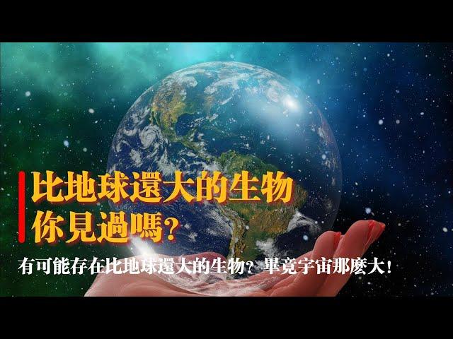 比地球還大的生物妳見過嗎？畢竟宇宙那麽大！