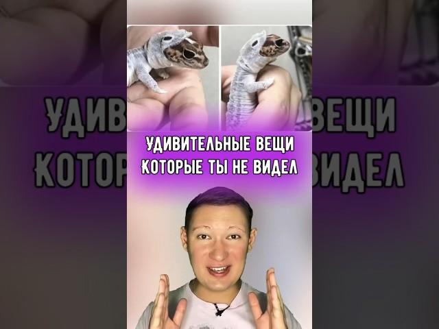 Удивительные вещи, которые стоит увидеть.