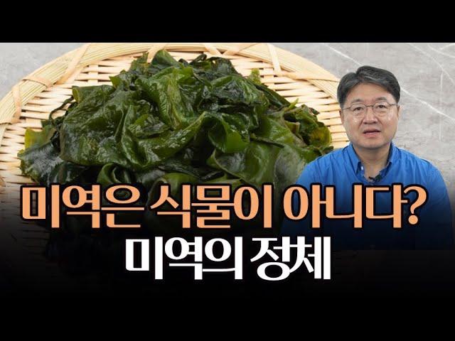 미역은 식물이 아니다? 식물이 아닌 이유