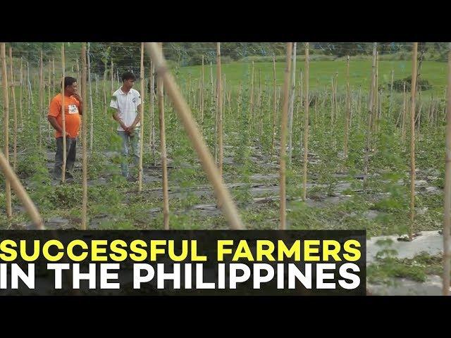 Successful Farmer in the Philippines: What makes Vegetable Farming Profitable