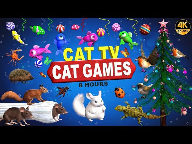 CAT GAMES COMPILATION | ULTIMATE VIDEOS COLLECTION FOR FELINE FRIENDS | CAT TV FOR PETS  4K 8-HOURS